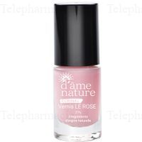 D'AME NATURE VERN LE ROSE FL